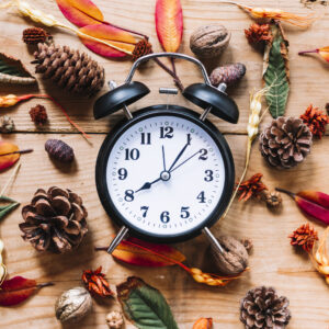 Clock surrounded by flowers and fir cones